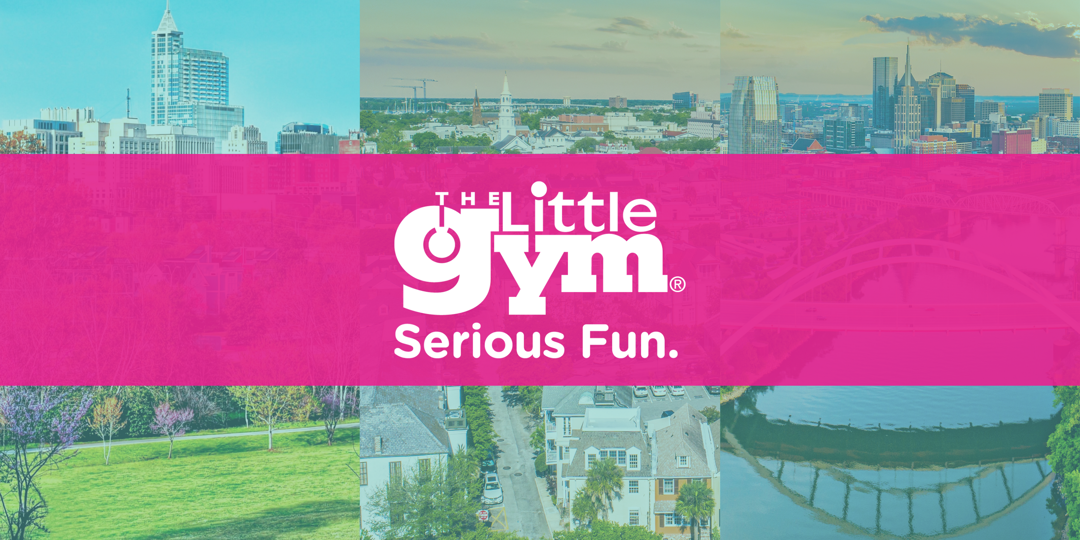 City Skylines with TLG Logo