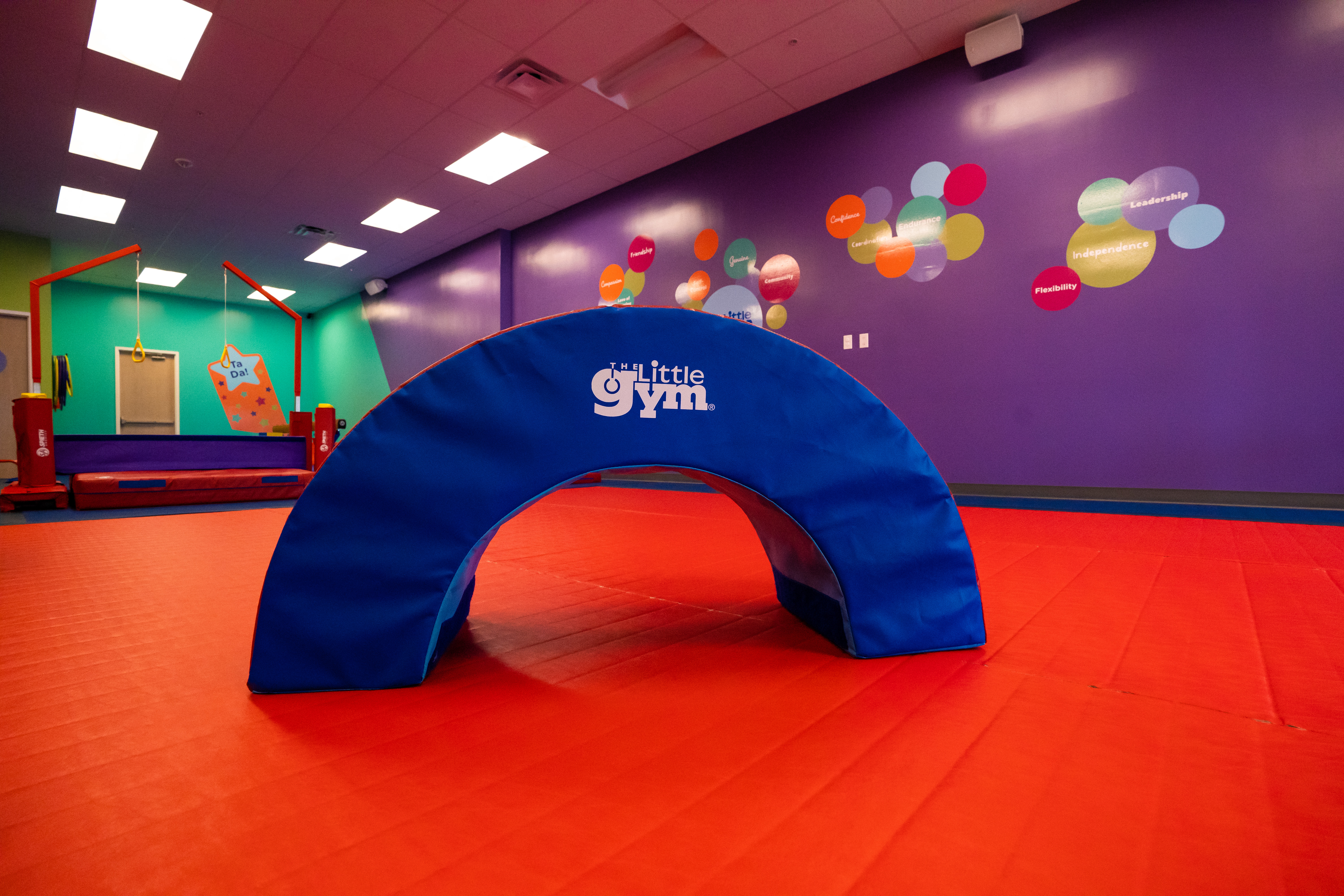 Piece of The Little Gym Equipment